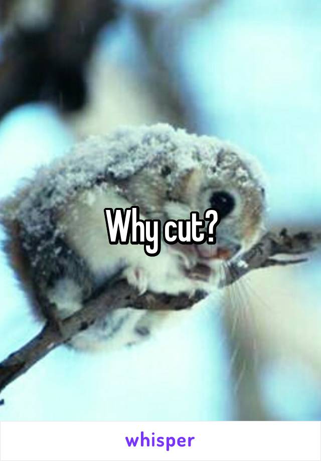 Why cut?