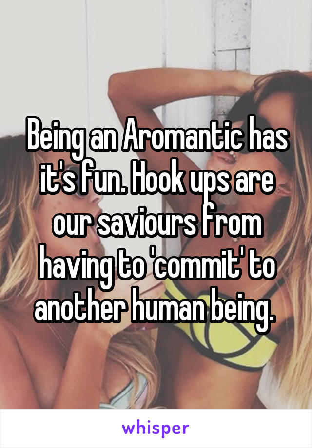 Being an Aromantic has it's fun. Hook ups are our saviours from having to 'commit' to another human being. 