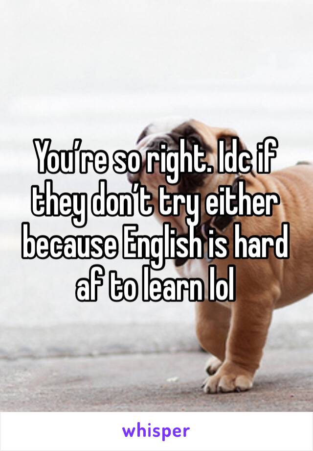 You’re so right. Idc if they don’t try either because English is hard af to learn lol