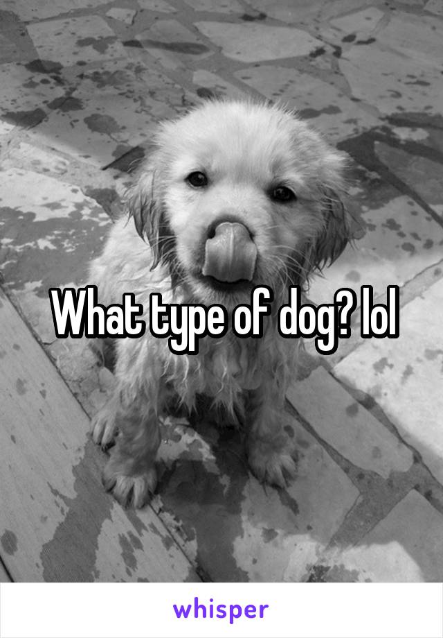 What type of dog? lol