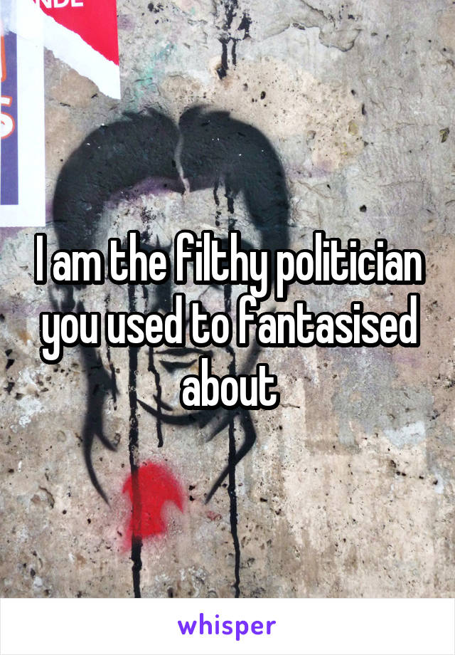 I am the filthy politician you used to fantasised about