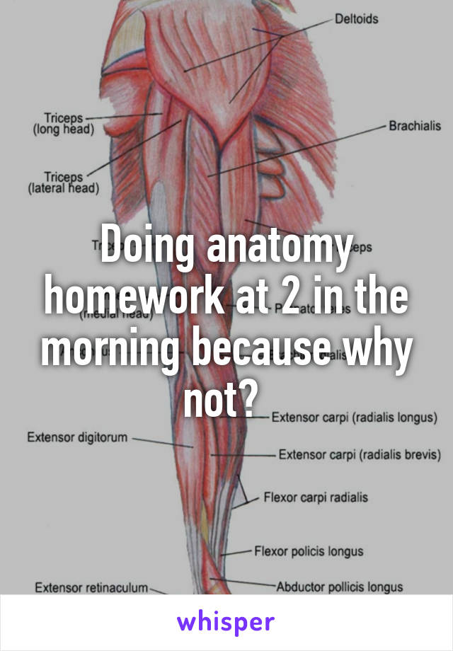 Doing anatomy homework at 2 in the morning because why not? 