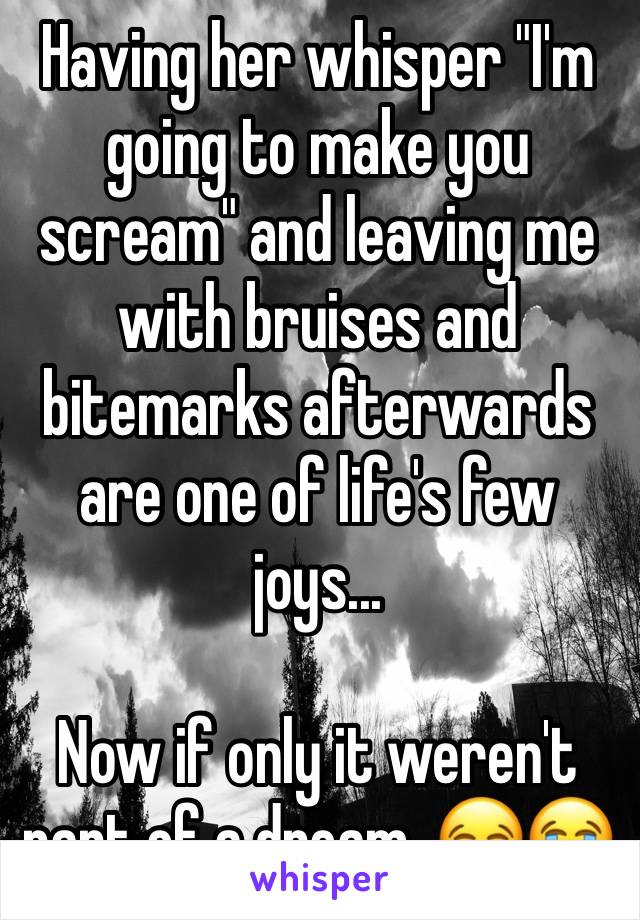 Having her whisper "I'm going to make you scream" and leaving me with bruises and bitemarks afterwards are one of life's few joys...

Now if only it weren't part of a dream. 😂😭