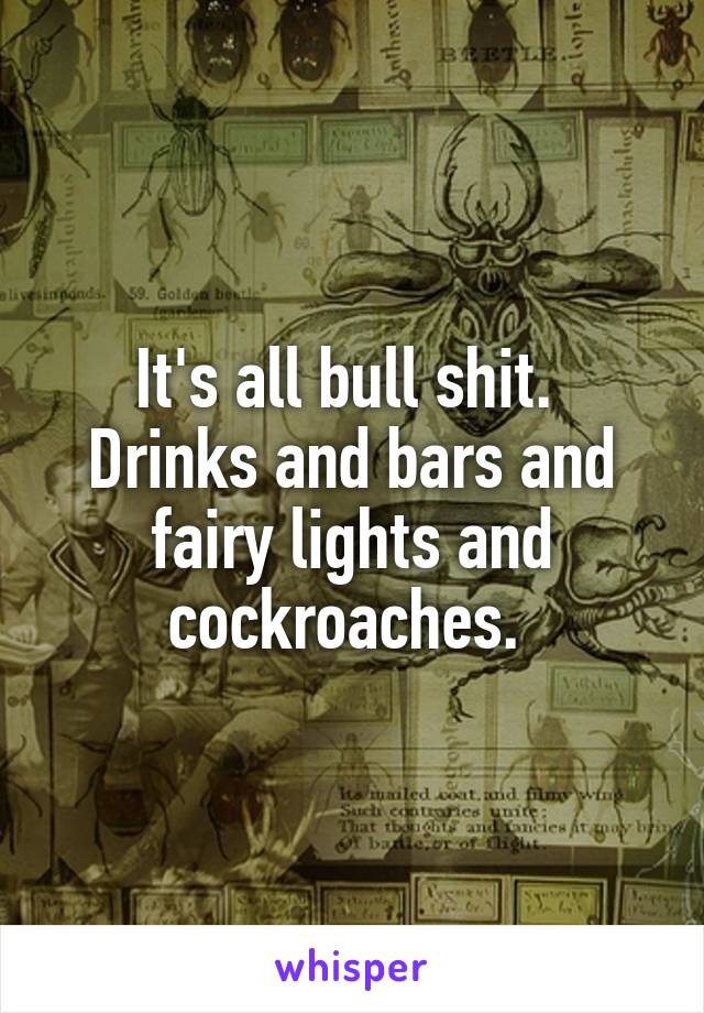 It's all bull shit. 
Drinks and bars and fairy lights and cockroaches. 