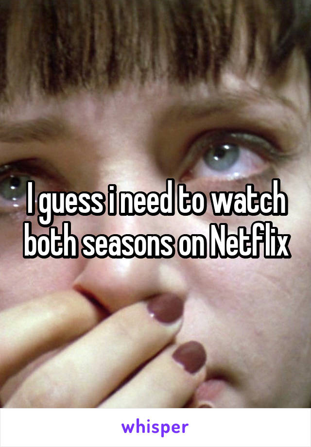 I guess i need to watch both seasons on Netflix