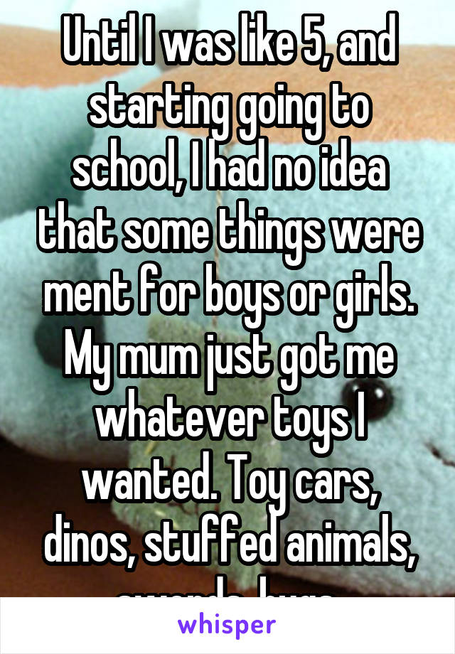 Until I was like 5, and starting going to school, I had no idea that some things were ment for boys or girls.
My mum just got me whatever toys I wanted. Toy cars, dinos, stuffed animals, swords, bugs.