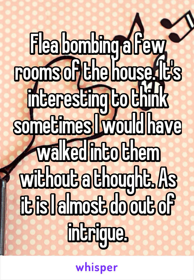 Flea bombing a few rooms of the house. It's interesting to think sometimes I would have walked into them without a thought. As it is I almost do out of intrigue.