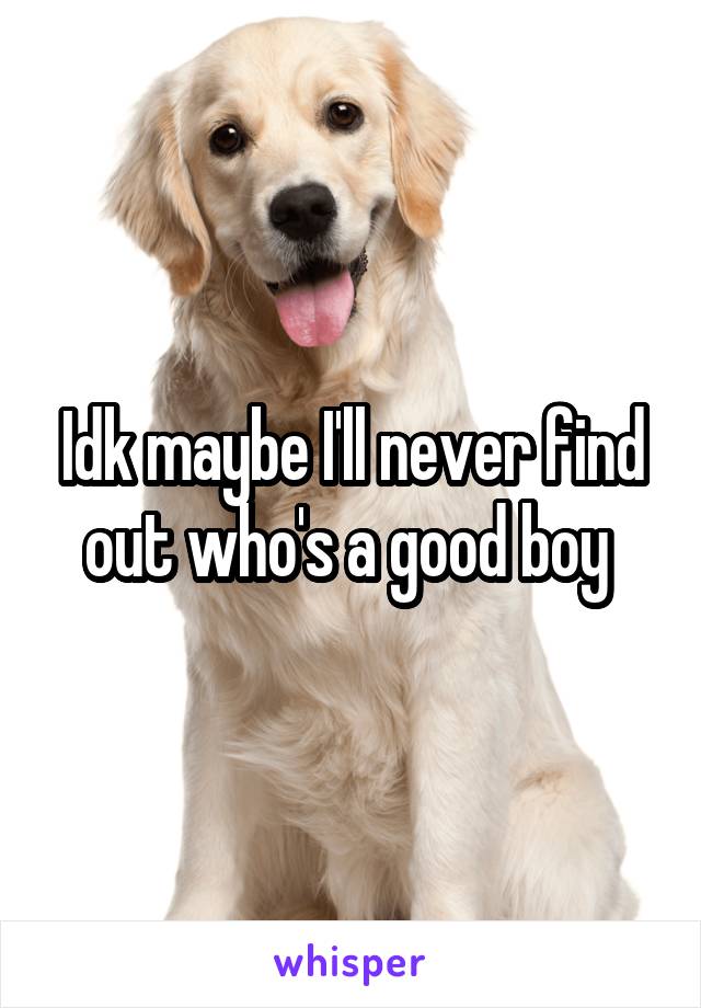 Idk maybe I'll never find out who's a good boy 