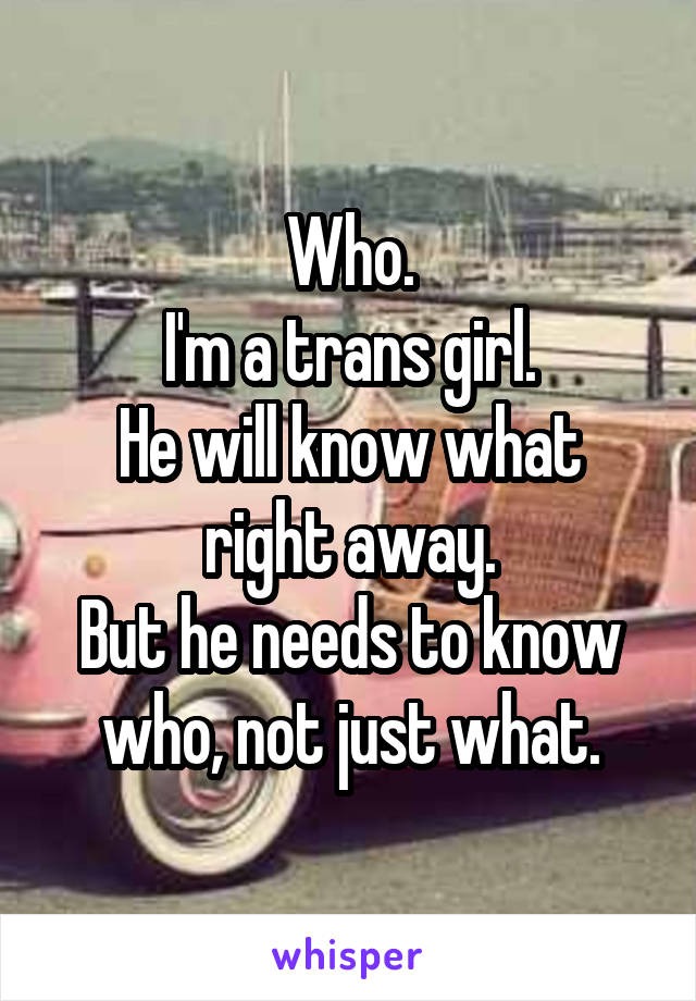 Who.
I'm a trans girl.
He will know what right away.
But he needs to know who, not just what.