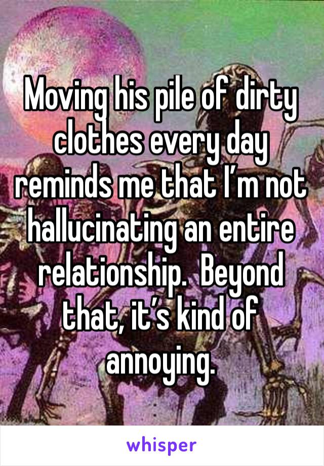 Moving his pile of dirty clothes every day reminds me that I’m not hallucinating an entire relationship.  Beyond that, it’s kind of annoying.