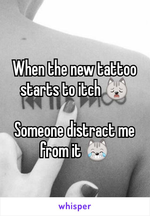 When the new tattoo starts to itch 🙀

Someone distract me from it 😹