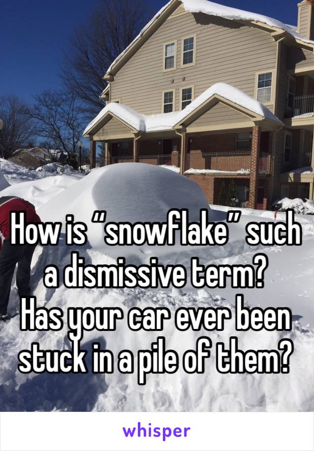 How is “snowflake” such a dismissive term?  
Has your car ever been stuck in a pile of them?