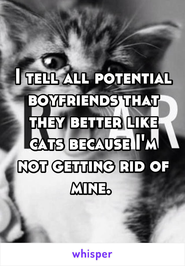 I tell all potential boyfriends that they better like cats because I'm not getting rid of mine. 