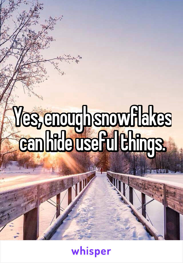 Yes, enough snowflakes can hide useful things.