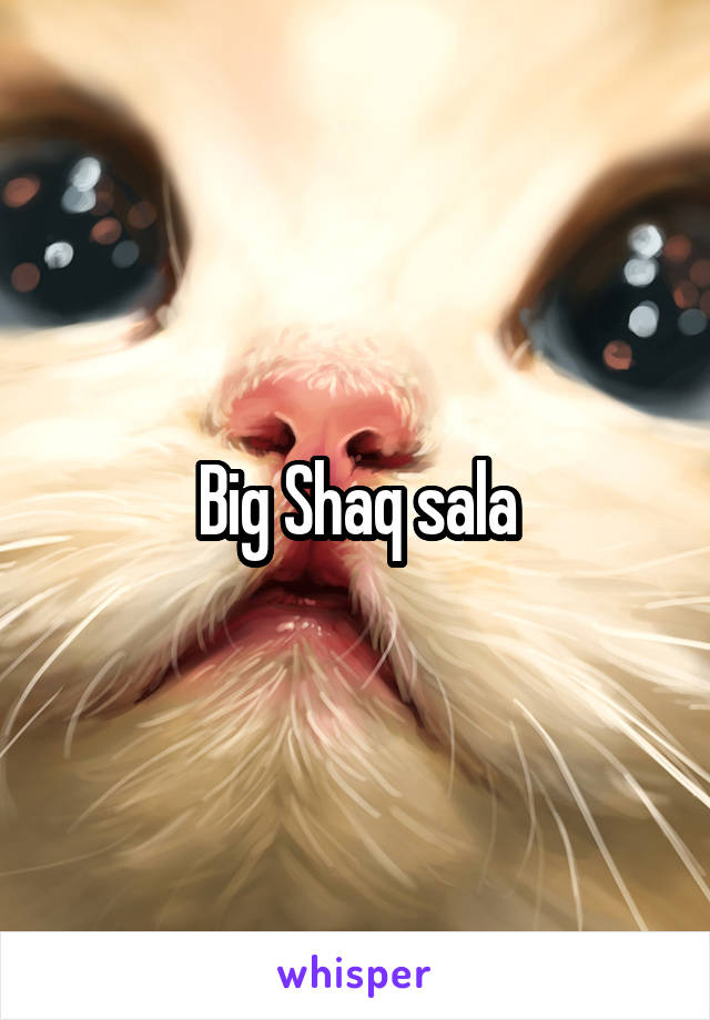 Big Shaq sala