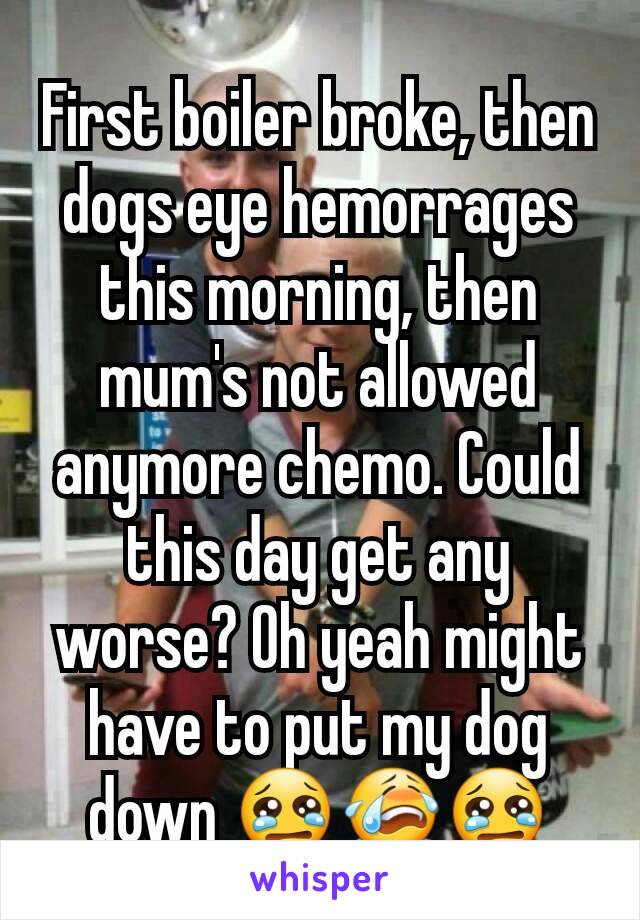 First boiler broke, then dogs eye hemorrages this morning, then mum's not allowed anymore chemo. Could this day get any worse? Oh yeah might have to put my dog down 😢😭😢