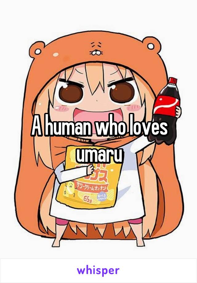 A human who loves umaru