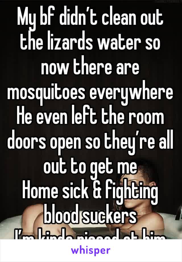 My bf didn’t clean out the lizards water so now there are mosquitoes everywhere
He even left the room doors open so they’re all out to get me
Home sick & fighting blood suckers
I’m kinda pissed at him