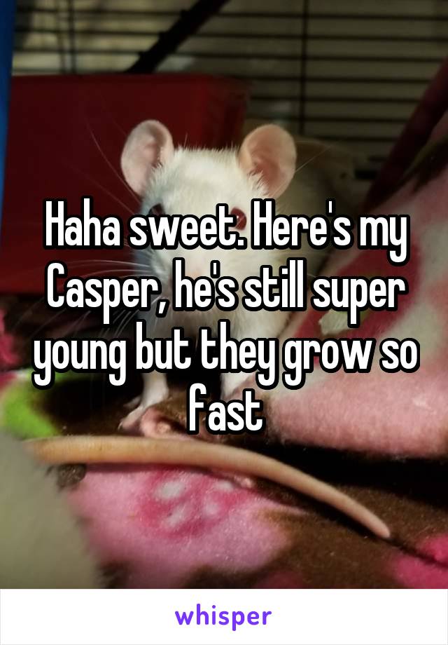 Haha sweet. Here's my Casper, he's still super young but they grow so fast