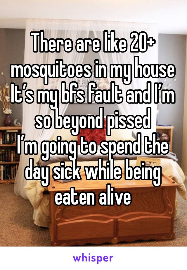 There are like 20+ mosquitoes in my house
It’s my bfs fault and I’m so beyond pissed
I’m going to spend the day sick while being eaten alive 
