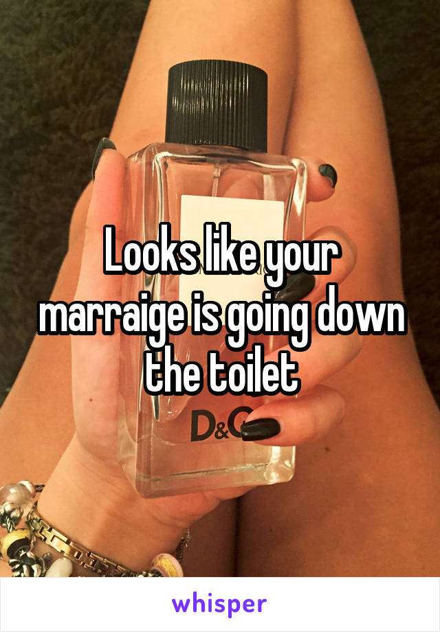 Looks like your marraige is going down the toilet