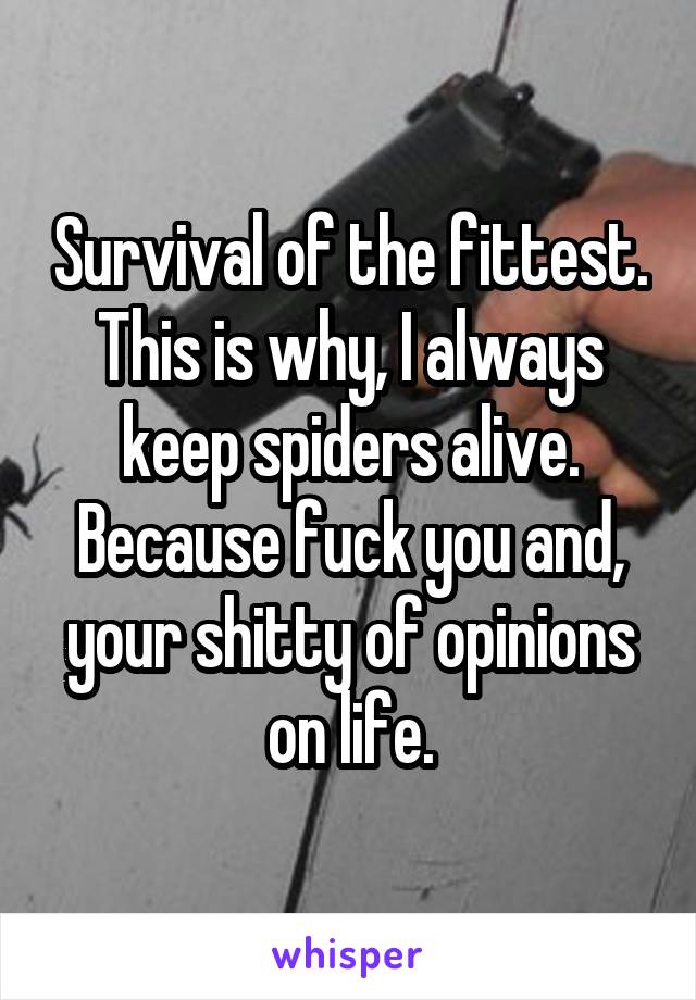 Survival of the fittest. This is why, I always keep spiders alive. Because fuck you and, your shitty of opinions on life.