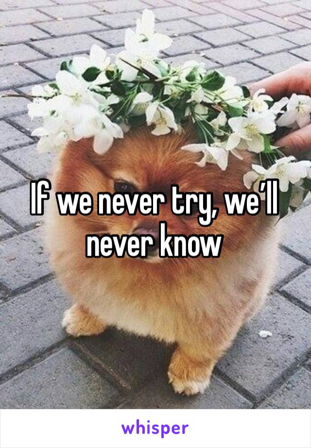 If we never try, we’ll never know