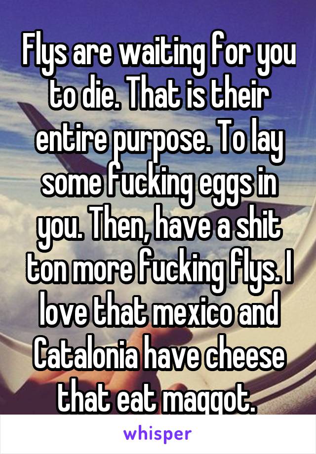 Flys are waiting for you to die. That is their entire purpose. To lay some fucking eggs in you. Then, have a shit ton more fucking flys. I love that mexico and Catalonia have cheese that eat maggot. 