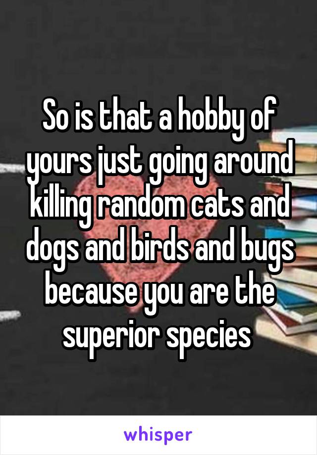 So is that a hobby of yours just going around killing random cats and dogs and birds and bugs because you are the superior species 