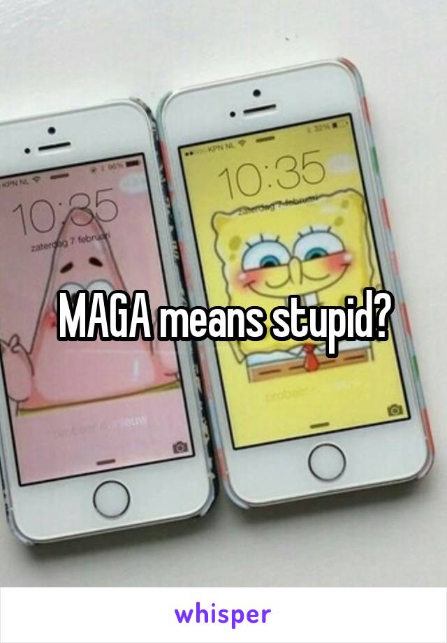 MAGA means stupid?