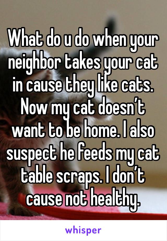 What do u do when your neighbor takes your cat in cause they like cats. Now my cat doesn’t want to be home. I also suspect he feeds my cat table scraps. I don’t cause not healthy.