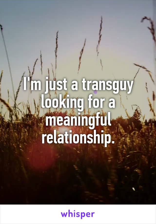 I'm just a transguy looking for a meaningful relationship.