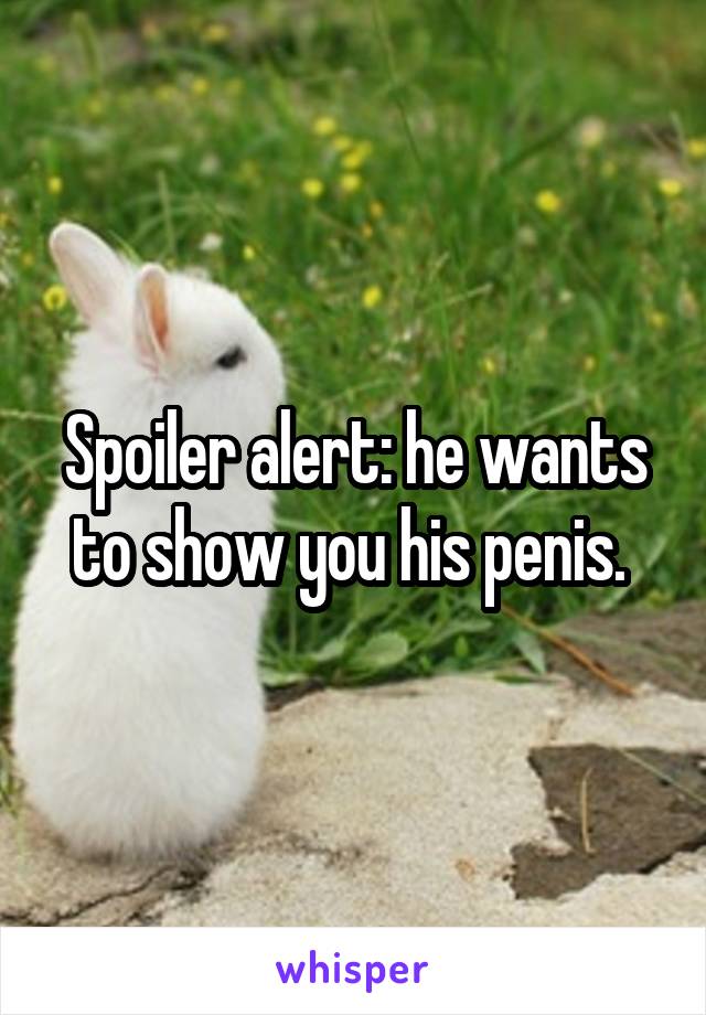 Spoiler alert: he wants to show you his penis. 
