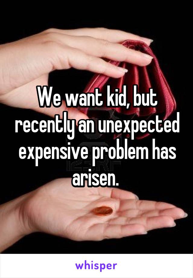 We want kid, but recently an unexpected expensive problem has arisen. 