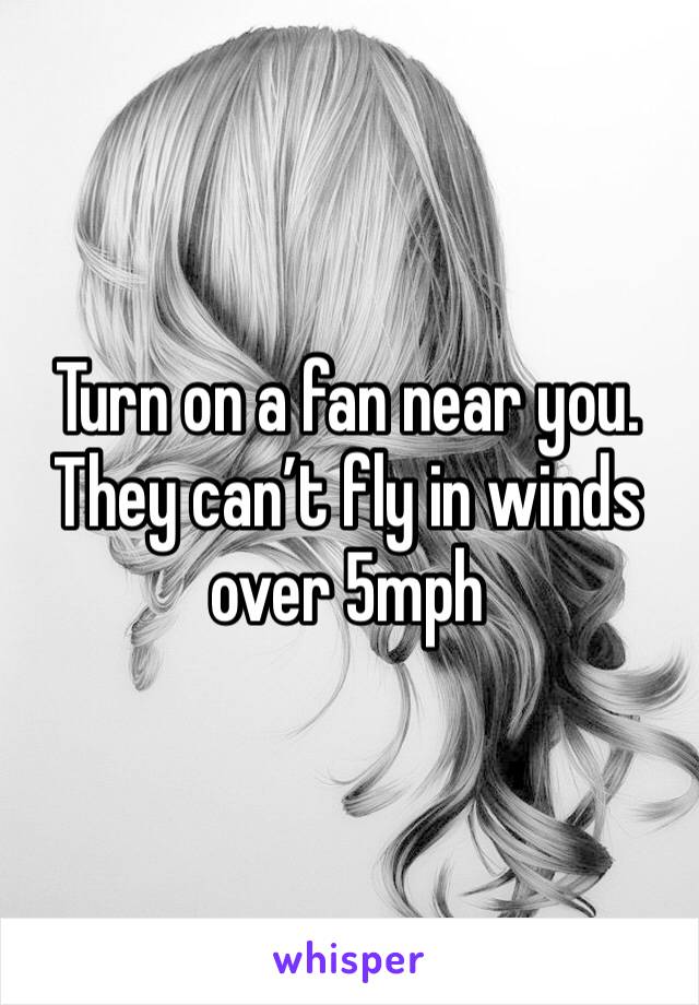 Turn on a fan near you. They can’t fly in winds over 5mph