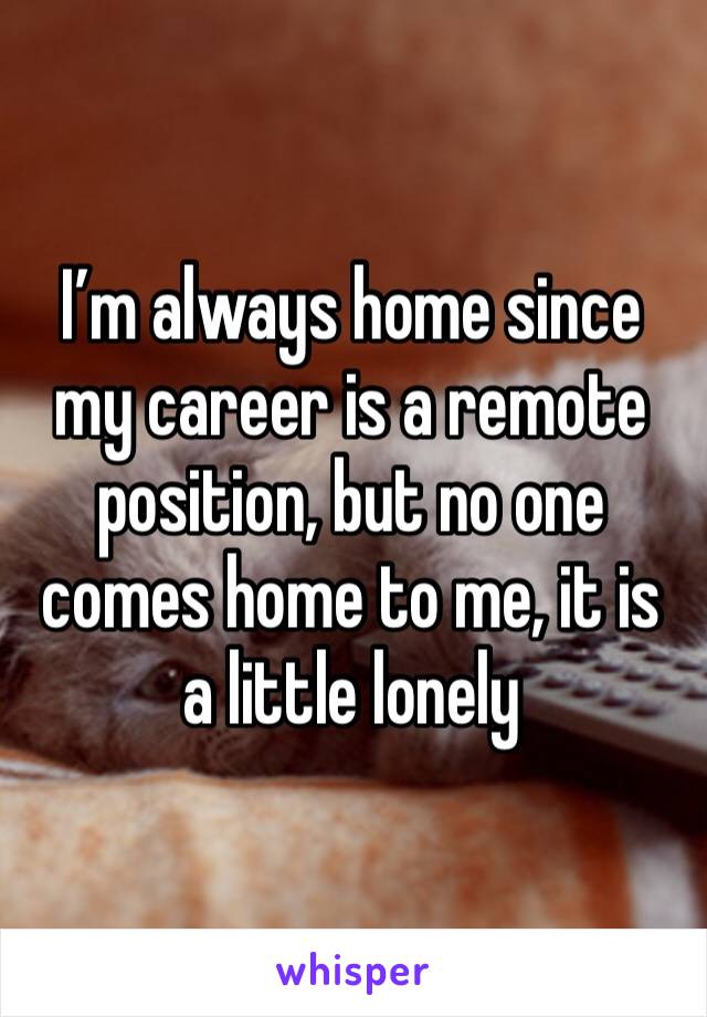 I’m always home since my career is a remote position, but no one comes home to me, it is a little lonely 