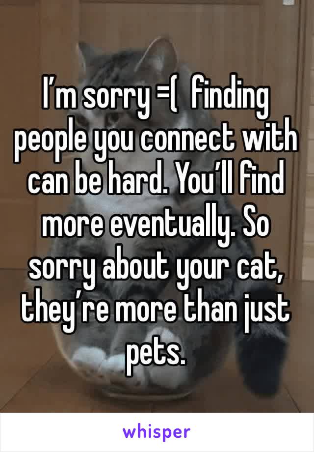 I’m sorry =(  finding people you connect with can be hard. You’ll find more eventually. So sorry about your cat, they’re more than just pets.
