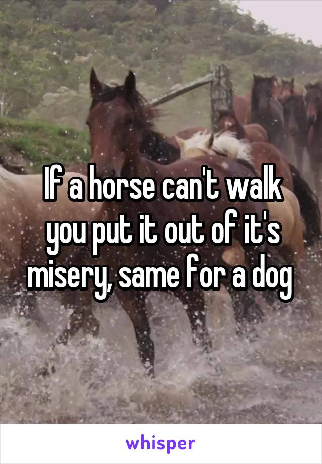If a horse can't walk you put it out of it's misery, same for a dog 