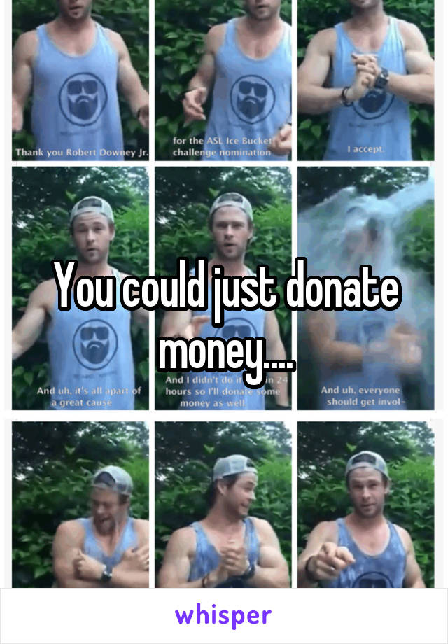 You could just donate money....