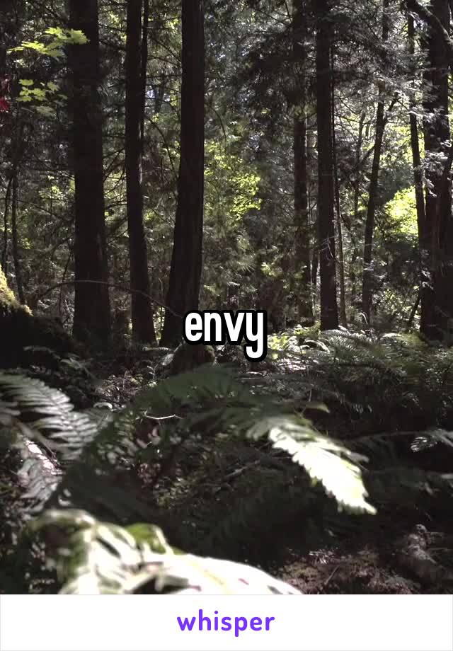 envy 