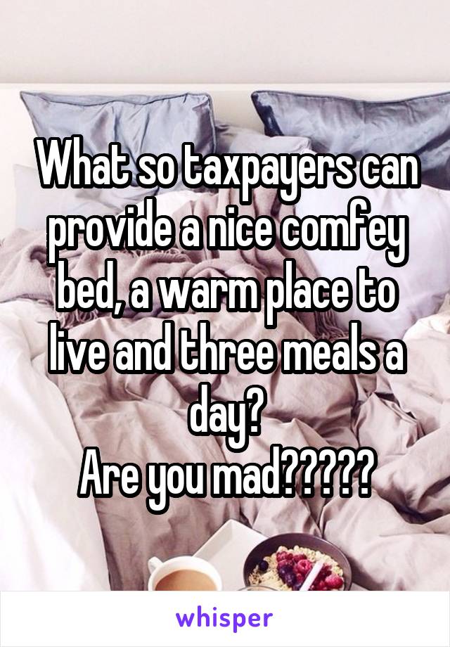 What so taxpayers can provide a nice comfey bed, a warm place to live and three meals a day?
Are you mad?????