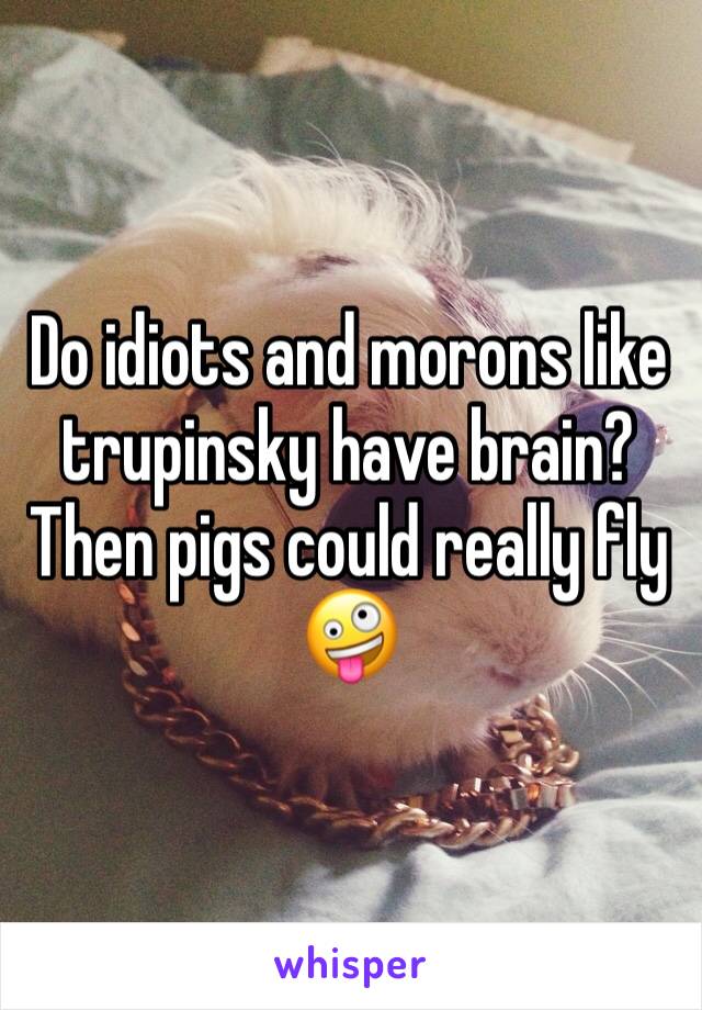Do idiots and morons like trupinsky have brain? Then pigs could really fly 🤪