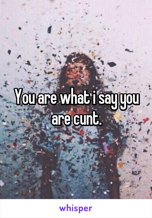 You are what i say you are cunt.