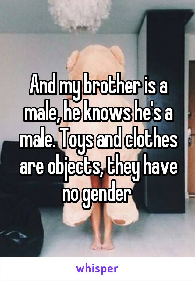 And my brother is a male, he knows he's a male. Toys and clothes are objects, they have no gender 