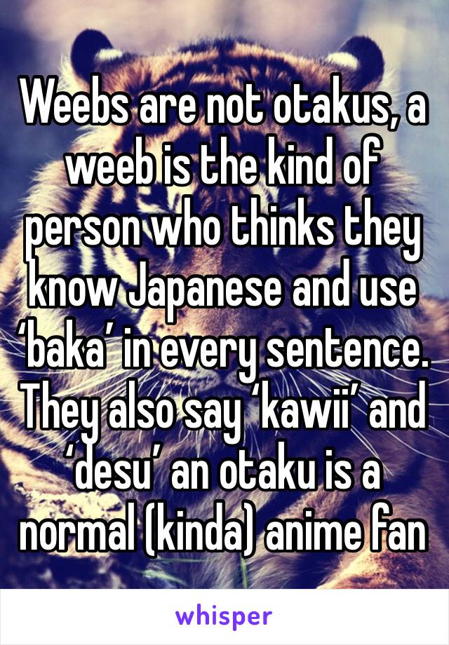 Weebs are not otakus, a weeb is the kind of person who thinks they know Japanese and use ‘baka’ in every sentence. They also say ‘kawii’ and ‘desu’ an otaku is a normal (kinda) anime fan