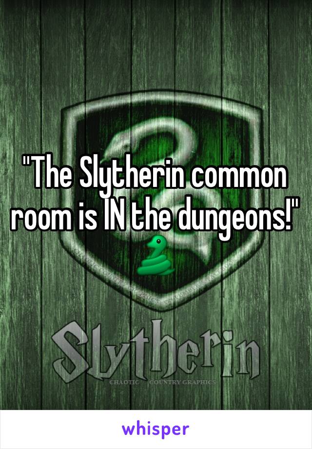 "The Slytherin common room is IN the dungeons!" 🐍
