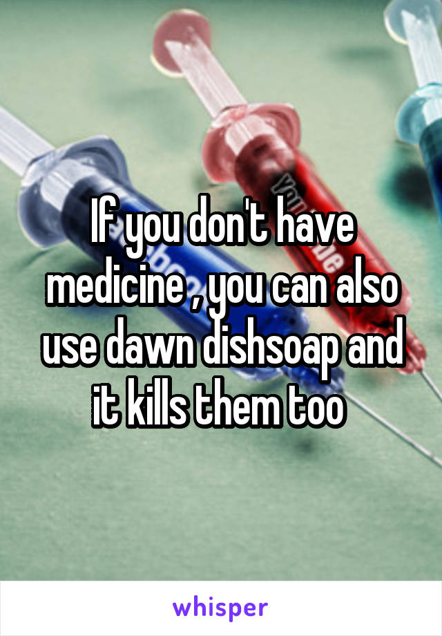 If you don't have medicine , you can also use dawn dishsoap and it kills them too 