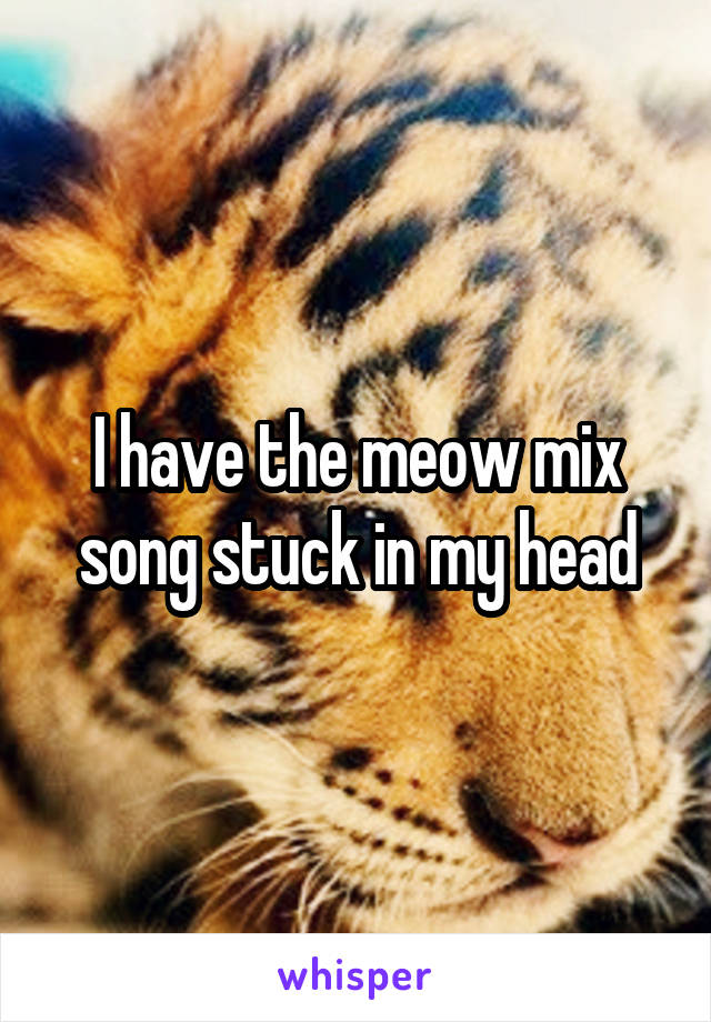 I have the meow mix song stuck in my head