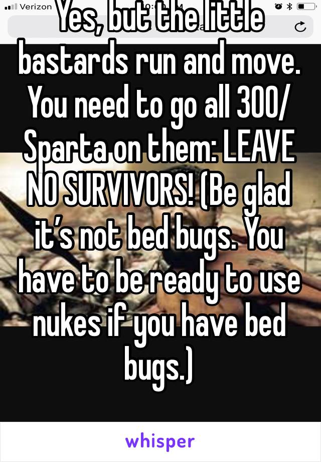 Yes, but the little bastards run and move. You need to go all 300/Sparta on them: LEAVE NO SURVIVORS! (Be glad it’s not bed bugs. You have to be ready to use nukes if you have bed bugs.)