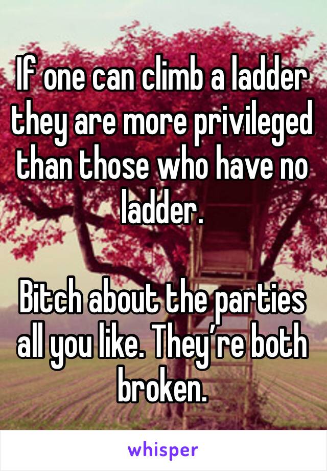 If one can climb a ladder they are more privileged than those who have no ladder. 

Bitch about the parties all you like. They’re both broken. 